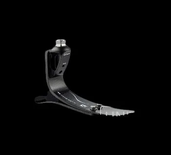 Prosthetic foot system
